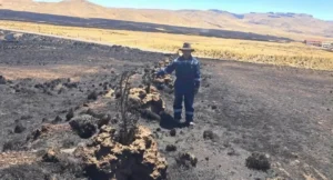 incendios forestales en Perú